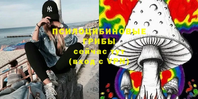 Псилоцибиновые грибы Magic Shrooms  хочу   Ахтубинск 